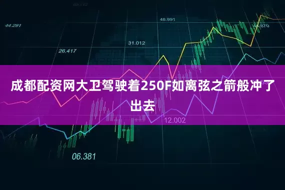 成都配资网大卫驾驶着250F如离弦之箭般冲了出去
