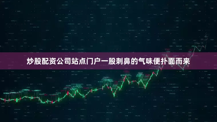 炒股配资公司站点门户一股刺鼻的气味便扑面而来